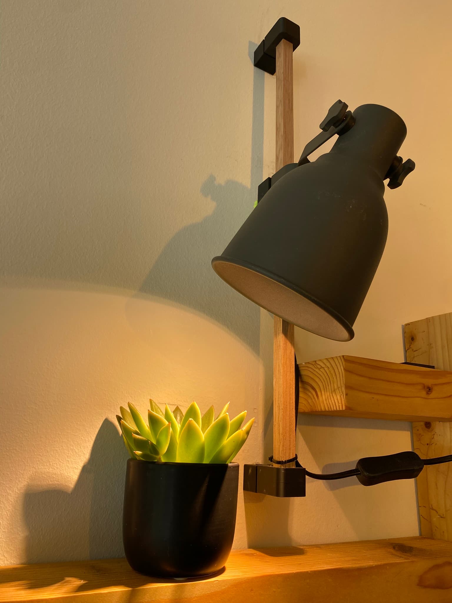 height adjustable wall growlight mount screenshot 6